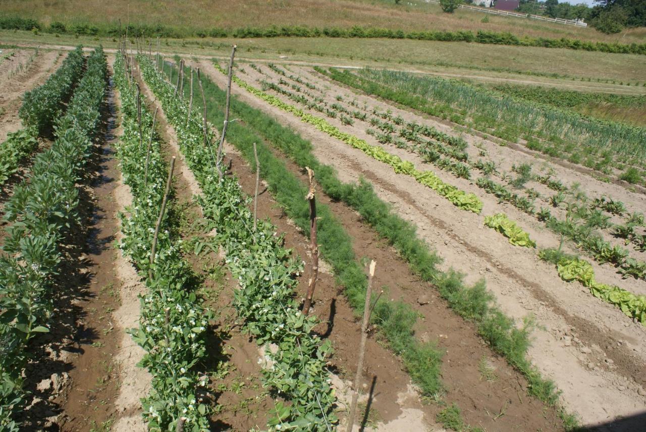 Agrodomki Okej-Bialy Dom Gardna Wielka Extérieur photo