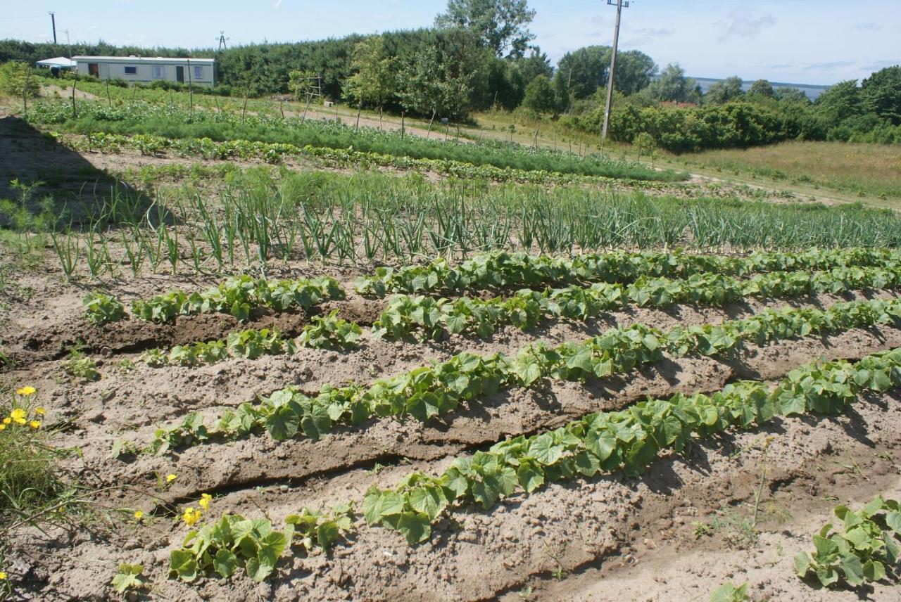 Agrodomki Okej-Bialy Dom Gardna Wielka Extérieur photo